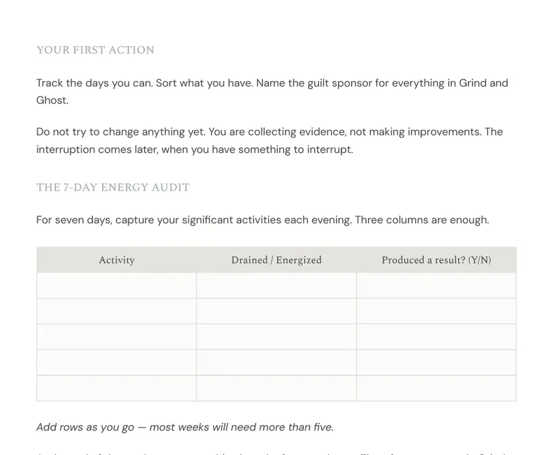 Page 16 of The Path: the 7-Day Energy Audit table and sorting prompts